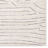 Jaipur Living Eva Newlyn EVA01 Ivory/ Area Rug by Label J Detail Image