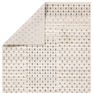 Jaipur Living Eva Zahraa EVA06 Ivory/ Area Rug by Label J Backing Image