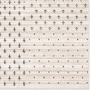 Jaipur Living Eva Zahraa EVA06 Ivory/ Area Rug by Label J Detail Image