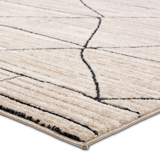 Jaipur Living Eva Farhan EVA07 Ivory/ Area Rug by Label J Corner Image