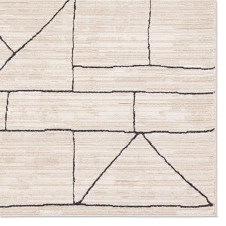 Jaipur Living Eva Farhan EVA07 Ivory/ Area Rug by Label J Detail Image