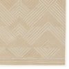 Jaipur Living Farryn Silva FAR04 Area Rug Detail Image