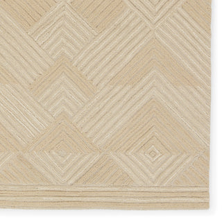 Jaipur Living Farryn Silva FAR04 Area Rug Detail Image