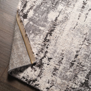 Jaipur Living Ferris Benton FRR02 Gray/Ivory Area Rug Lifestyle Image