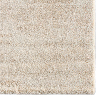 Jaipur Living Ferris Yushan FRR08 White/Blue Area Rug Detail Image