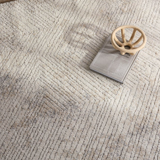 Jaipur Living Ferris Natrix FRR13 Cream/Silver Area Rug