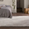 Jaipur Living Ferris Natrix FRR13 Cream/Silver Area Rug