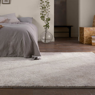 Jaipur Living Ferris Natrix FRR13 Cream/Silver Area Rug