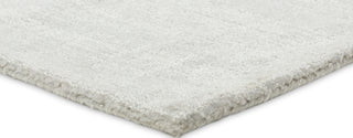 Jaipur Living Fletcher Arcus FTR06 Ivory Area Rug