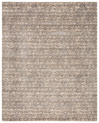 Jaipur Living Free Verse Edge by Kavi Raagam FVK01 Gray/Beige Area Rug main image