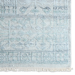 Jaipur Living Gaia Arinna GAI02 Gray/Light Blue Area Rug Detail Image