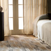 Jaipur Living Gallium Rhenium GLM04 Gray/ Area Rug by Label J Lifestyle Image