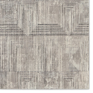 Jaipur Living Graphite Sublime GRA03 Gray/Cream Area Rug Detail Image