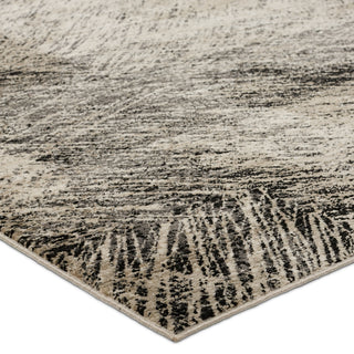 Jaipur Living Graphite Dairon GRA04 Black/Taupe Area Rug Corner Image