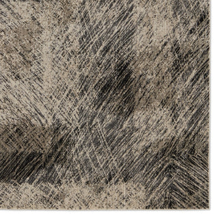 Jaipur Living Graphite Dairon GRA04 Black/Taupe Area Rug Detail Image