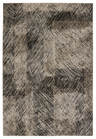 Jaipur Living Graphite Dairon GRA04 Black/Taupe Area Rug main image