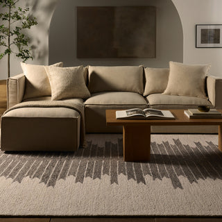 Jaipur Living Hadi Chaima HAD07 Gray Area Rug Main Image