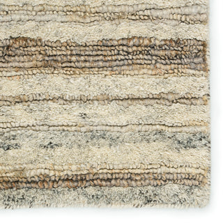Jaipur Living Hatha Tikka HAT01 Cream/Gray Area Rug Detail Image