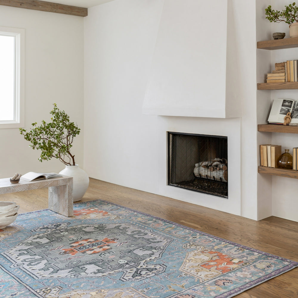 Jaipur Living Harman By Kate Lester Zenora HBL07 Sky Blue/Silver Machine Washable Area Rug Room Scene Feature