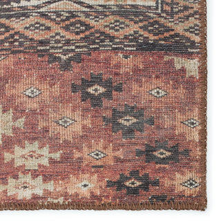 Jaipur Living Harman By Kate Lester Minerva HBL09 Brown/Black Machine Washable Area Rug Detail Image