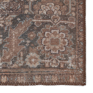 Jaipur Living Harman By Kate Lester Minita HBL10 Brown/Tan Machine Washable Area Rug Detail Image