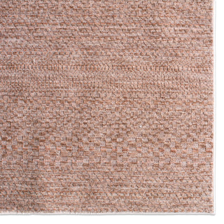 Jaipur Living Icten Kiran ICT01 Brown/Red Area Rug Detail Image