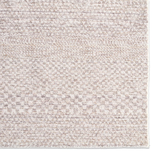 Jaipur Living Icten Kiran ICT02 Gray Area Rug Detail Image