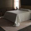 Jaipur Living Icten Kiran ICT02 Gray Area Rug Lifestyle Image