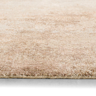 Jaipur Living In The After Glow Davian IGK05 Brown Area Rug by Kavi Backing Image
