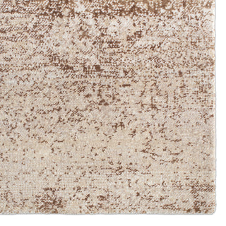Jaipur Living In The After Glow Davian IGK05 Brown Area Rug by Kavi Detail Image