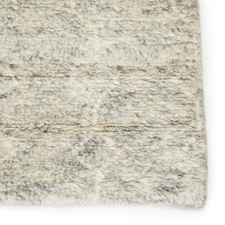 Jaipur Living Indira IND02 Area Rug Detail Image