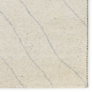 Jaipur Living Indira IND03 Area Rug Detail Image