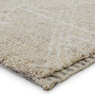 Jaipur Living Indira IND04 Area Rug Corner Image
