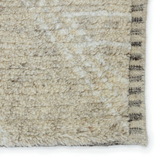 Jaipur Living Indira IND04 Area Rug Detail Image