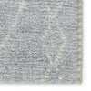 Jaipur Living Indira IND05 Area Rug Detail Image