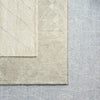 Jaipur Living Indira IND05 Area Rug Lifestyle Image Feature