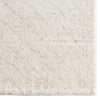 Jaipur Living Indira IND06 Area Rug Detail Image