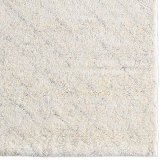 Jaipur Living Indira IND06 Area Rug Detail Image