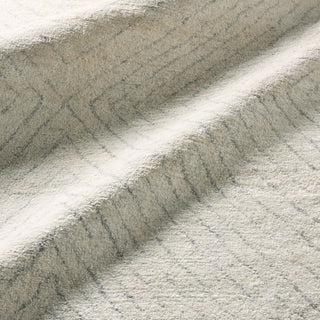 Jaipur Living Indira IND06 Area Rug Lifestyle Image Feature