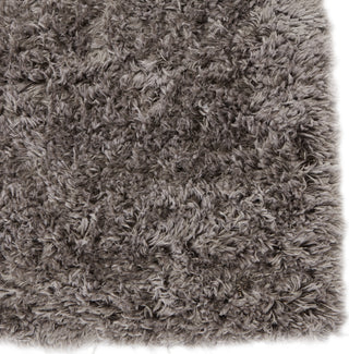 Jaipur Living Izara Jola IZA05 Gray/Cream Area Rug Detail Image