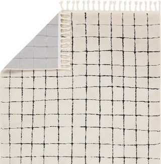 Jaipur Living Jaida Align JID08 Ivory/Black Area Rug by Vibe