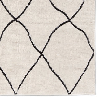 Jaipur Living Jaida Treble JID19 Ivory/Black Area Rug by Label J Detail Image