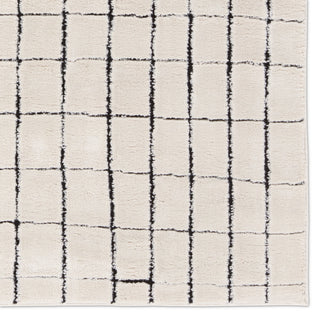 Jaipur Living Jaida Align JID21 Ivory/Black Area Rug by Label J Detail Image