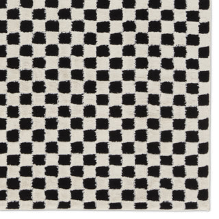 Jaipur Living Jaida Casa JID23 Ivory/Black Area Rug by Label J Detail Image