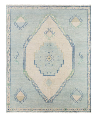 Jaipur Living Jinsen JIN07 Area Rug main image