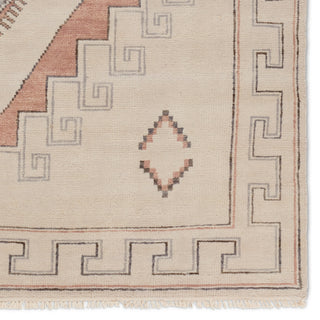 Jaipur Living Jinsen JIN08 Area Rug Detail Image