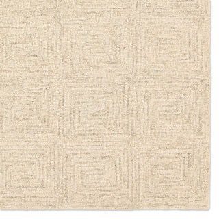 Jaipur Living Kafes Aleric KAF02 White/Gray Area Rug Detail Image