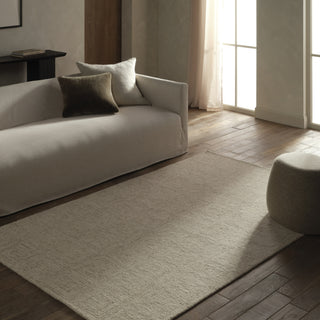 Jaipur Living Kafes Aleric KAF02 White/Gray Area Rug Lifestyle Image