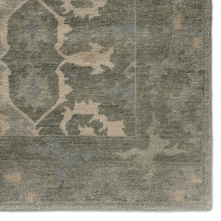 Jaipur Living Kai Modify KAI12 Sage/Light Blue Area Rug Corner Image