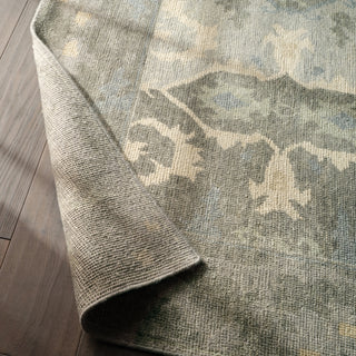 Jaipur Living Kai Modify KAI12 Sage/Light Blue Area Rug Lifestyle Image Feature